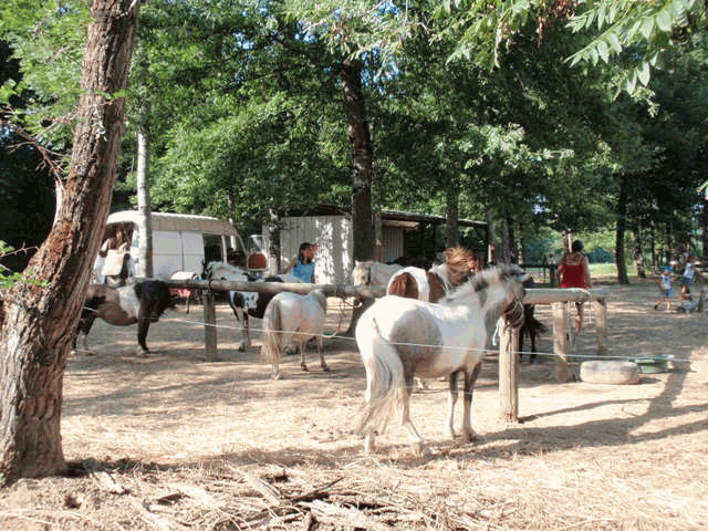 manege van Plaisance