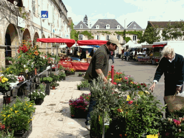 markt van Plaisance
